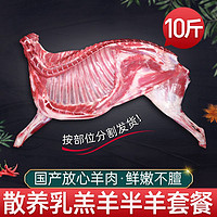 XI NIU YOU XUAN 西牛优选 羊肉10斤半只羊草原散养新鲜羊排羊腿羊蝎子生鲜年货礼盒