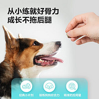 NOURSE 卫仕 乳钙片160片 狗狗钙片泰迪金毛幼犬钙大型犬健骨补钙宠物补钙