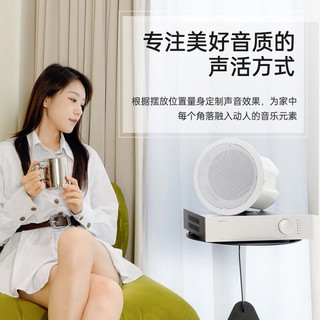  BALEY/八雷 嵌入式 吸顶音响