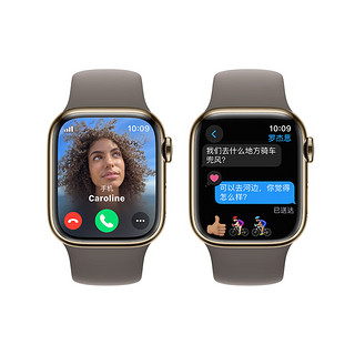 Apple 苹果 Watch Series 9 智能手表 GPS+蜂窝网络款 41mm 金色不锈钢表壳 陶土色橡胶表带 M/L