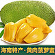 南业果 海南菠萝蜜  15-19斤