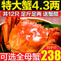 12只特大大闸蟹鲜活螃蟹礼盒旗舰全母活蟹河蟹阳澄湖镇发