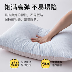 Jialisi 佳丽斯 可水洗枕头柔软抑菌防螨睡枕芯一对装成人睡眠护颈椎枕头