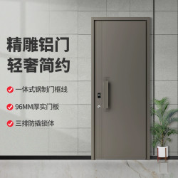 锦上宅 入户门大门进户门别墅大门子母门家用入户门庭院门DK001