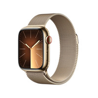 苹果 Apple Watch Series 9 智能手表GPS + 蜂窝款41毫米金色不锈钢表壳金色米兰尼斯表带 MRJY3CH/A