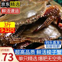 青岛梭子蟹鲜活螃蟹 海蟹花蟹飞蟹母蟹 超大蟹类海鲜 鲜活-高品质3斤9-12只