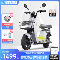 棒途 哈啰电动车棒途新国标代步车电动自行车电瓶车B30