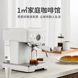 PETRUS 柏翠 咖啡机意式浓缩家用小型半自动蒸汽打奶泡 PE3833 海盐小方2.0