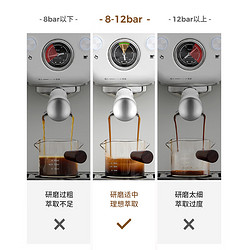 PETRUS 柏翠 咖啡机意式浓缩半自动 PE3833 海盐小方2.0