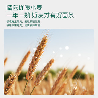 英氏忆格面条2段宝宝面条婴儿无添加盐英式小面条旗舰辅食面
