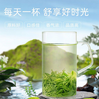 文新 信阳毛尖绿茶2023新茶茶叶特级嫩芽密封罐20g