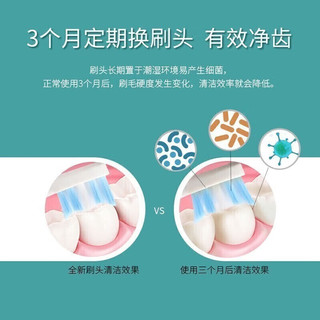 东耐伦 飞利浦(PHILIPS) 电动牙刷头基础洁净HX6014适配3/6系列 黑色8支