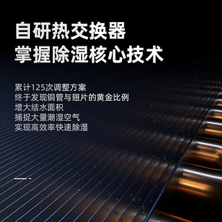 Deye 德业 中央吊装除湿机 除湿量65升 别墅地下室管道式抽湿机超薄 全屋轻音除湿 隐藏式DY-C65DZ/A