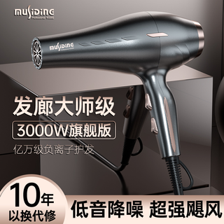 MuSiDing 慕斯丁 电吹风机理发店发廊大功率3000W家用大风力速干吹风筒