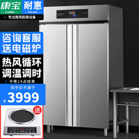 NAAFI 耐惠 康宝商用消毒柜 商用不锈钢厨房单位餐厅食堂大容量高温热风循环调温调时消毒碗柜XDR650-LNC2