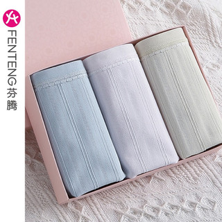 FENTENG 芬腾 女士纯棉抗菌内裤3条