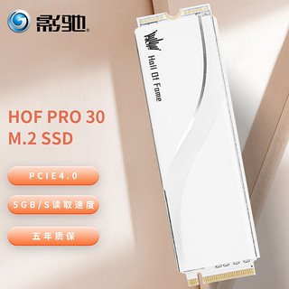 GALAXY 影驰 名人堂HOF PRO 1TB固态硬盘M.2 PCIe4.0固态SSD台式机笔记本