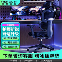 恒林 开普勒X人体工学椅电脑椅办公老板座椅久坐舒适可躺电竞椅双背分区+椅背4档升降+3D扶手