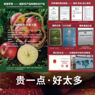逮果 云南昭通红露苹果冰糖心丑苹果新鲜水果红富士嘎啦苹果脆甜礼盒装 昭通丑苹果 中果5斤（70-75mm）