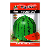 中科茂华 麒麟西瓜种子早佳8424爆炸瓜果形美观 肉质香甜皮薄甜脆 早佳8424袋装5克约100粒