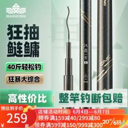 HANDING 汉鼎 鱼竿汉鼎一号5代H调超轻超硬钓鱼竿大综合碳素野钓钓鱼竿手竿 五代H5.4米