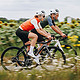 SPECIALIZED 闪电 ROUBAIX SL8 男女款耐力碳纤维骑行公路自行车