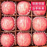 京东生鲜 陕西洛川红富士 75mm+ 9斤中果