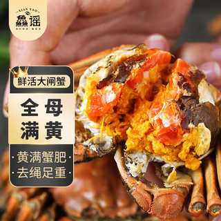 XIAN YAO 鱻谣 大闸蟹鲜活螃蟹 全母1.8-2.1两 8只装