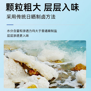 燕晶（yanjing）大颗粒自然海盐日晒天然海盐粗盐 可热敷泡脚食用盐 300g/袋