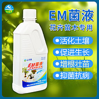 种植em菌液增生根壮苗茎发财树富贵竹绿萝兰花养花草植物酵素原露