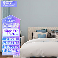 Royal Roland 墙布环保无缝 包安装 背景墙沙发壁纸墙纸  客厅卧室全屋壁布 H