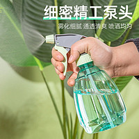 CANGQIANG 苍强 手压式喷壶500ml