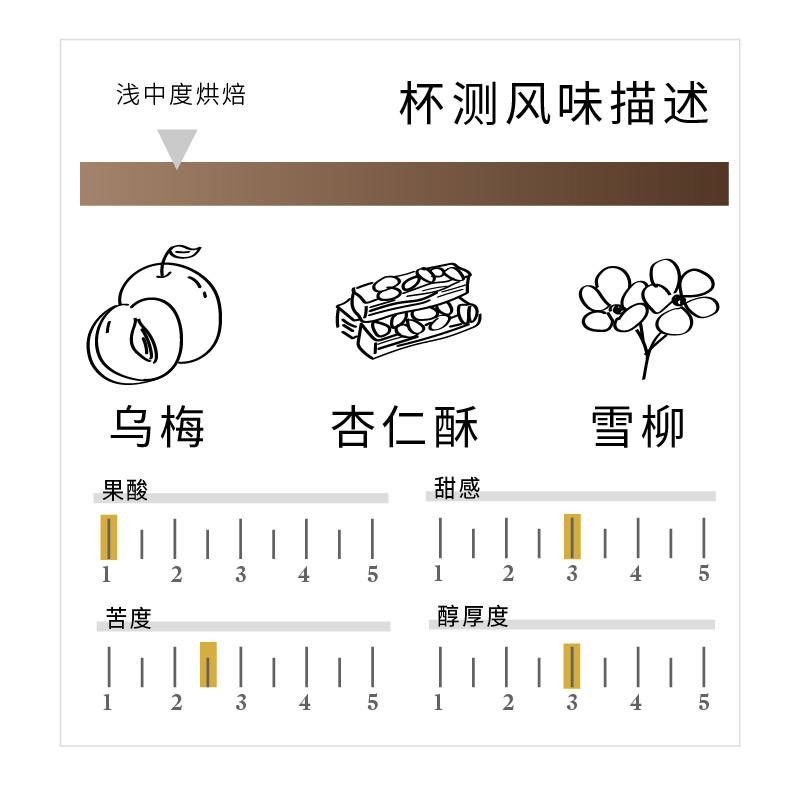 炬点咖啡新产季云南普洱山人云雾庄园乌梅饮手冲咖啡豆