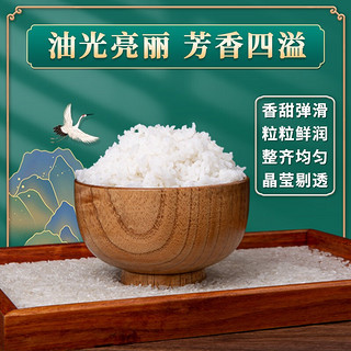 湖鑫星 虾稻丝苗米 当季新米 南方籼米 长粒香米 长粒大米10kg(20斤)