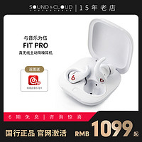 Beats Fit Pro 入耳式真无线主动降噪蓝牙耳机