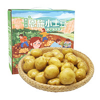 京百味 湖北恩施小土豆  2.5kg礼盒