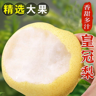 菲农 翠冠梨 2.8kg 单果350-400g 8枚 冰糖雪梨香甜多汁新鲜水果礼盒