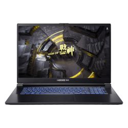 hasee神舟战神tx8r916英寸游戏笔记本电脑i913900hx16gb1tbrtx4060