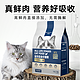 CHONGXI 宠熙 猫粮装成猫幼猫