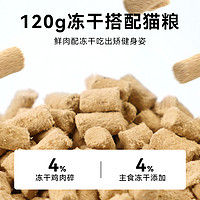 CHONGXI 宠熙 猫粮装成猫幼猫 50G（多款可选）