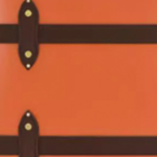 GLOBE-TROTTER 漫游家 Centenary系列 拉杆箱 0GLCNTRLU0CO204 橙色 20英寸