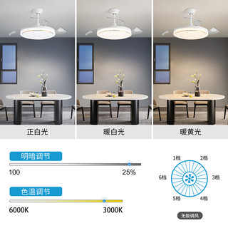 雷士 NVC   Lighting照明 星穹 36瓦白-RA97六档调风-三色光