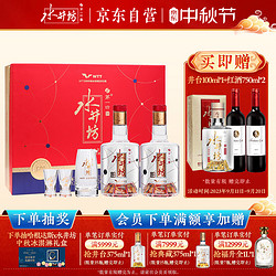 swellfun 水井坊 臻酿八号 52.1度 浓香型白酒 500ml*2瓶 礼盒装