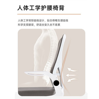 奥伦福特 电脑椅办公椅职员网椅转椅会议椅人体工学椅子家用电脑椅学习椅 SK-电脑椅-白灰