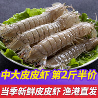 鮨京皮皮虾鲜活虾爬子富贵虾濑尿虾 海鲜水产 生鲜 虾类 中大皮皮虾 1斤