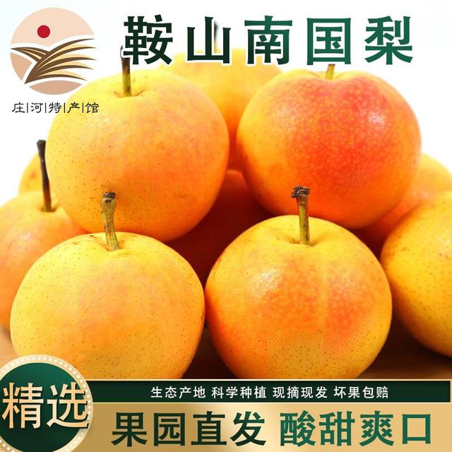 鲜姿 辽宁鞍山产南果梨 中秋礼盒 5斤小果约40枚
