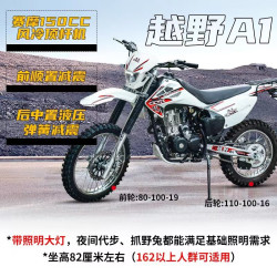 圣龙甲全新可上牌越野摩托车250cc大越野高赛摩托车燃油高瓦赛山地林