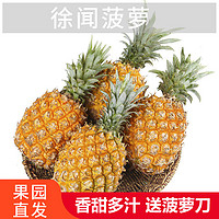 俏果缘 徐闻香水小菠萝9斤新鲜应季水果金钻凤梨手撕波萝特产整箱