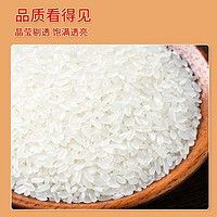 十月稻田 长粒香米2.5kg东北大米5斤粳米真空小包装弹润 1件装
