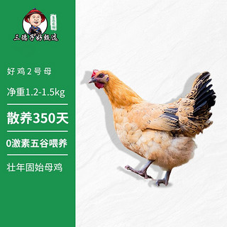 移动端、京东百亿补贴：三德子好甄选高散养山农家土跑走山地鸡整只生鲜鸡 好鸡2号母（大） 1.2-1.5kg